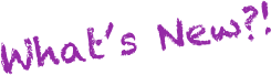 What’s New?!